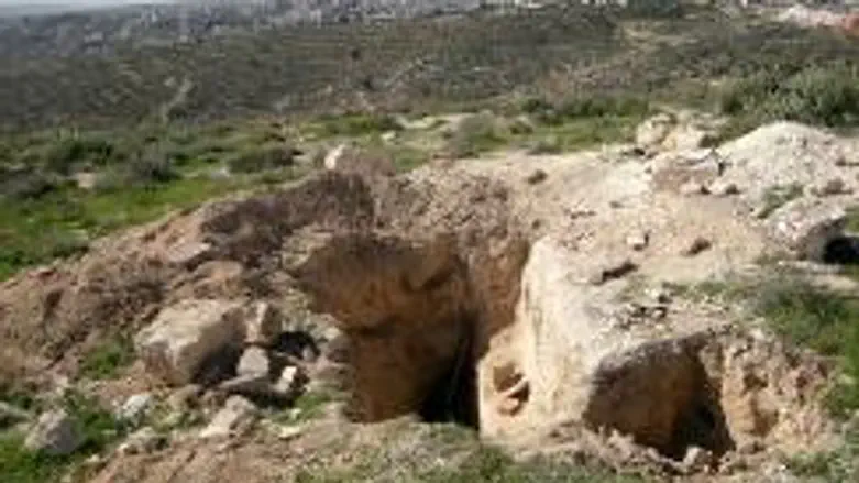 Site of the illegal dig