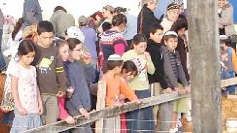 Building in Avnei Hefetz