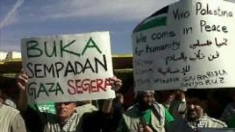 Viva Palestina protestors in Aqaba