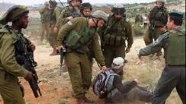 leftist demonstrators, IDF