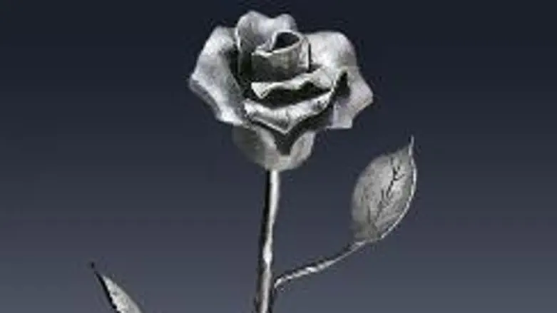 A rose by any other name...could be a Kassam!