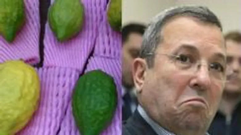 Etrogs, Barak