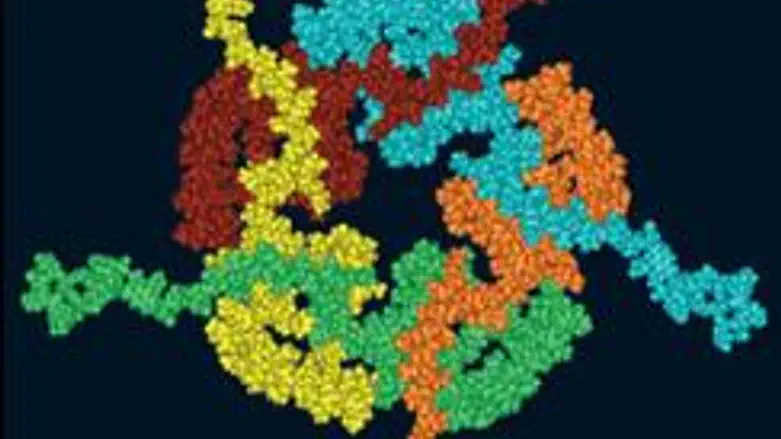 Image of cells that trigger Parkinson's