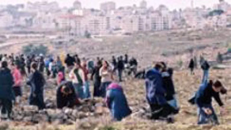 Illegal Arab construction