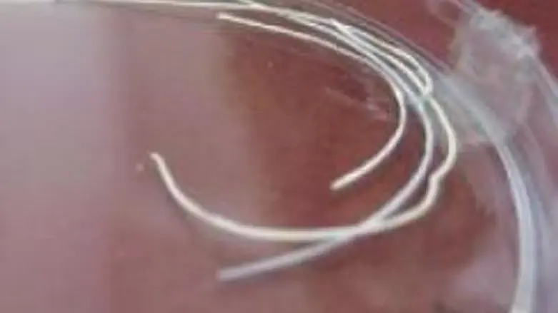 Some of the engineered fibers