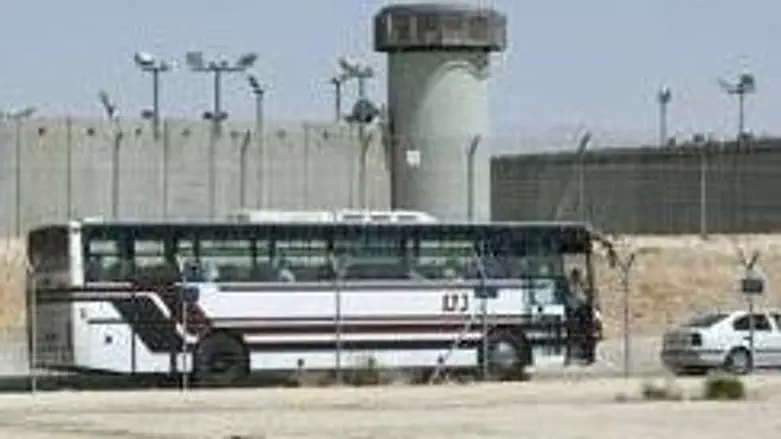 Bus taking terrorists home