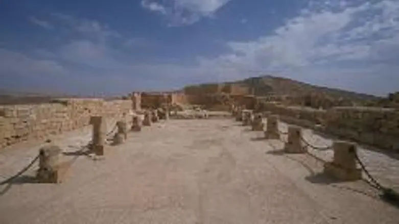 A view of the historic Avdat site