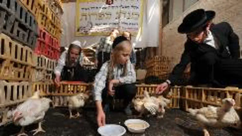 Kollel Chabad's Kaparot station