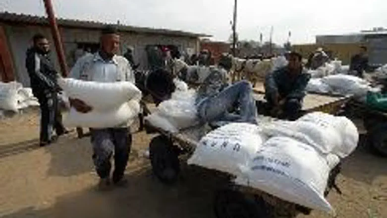 Gaza Arabs pick up humanitarian aid
