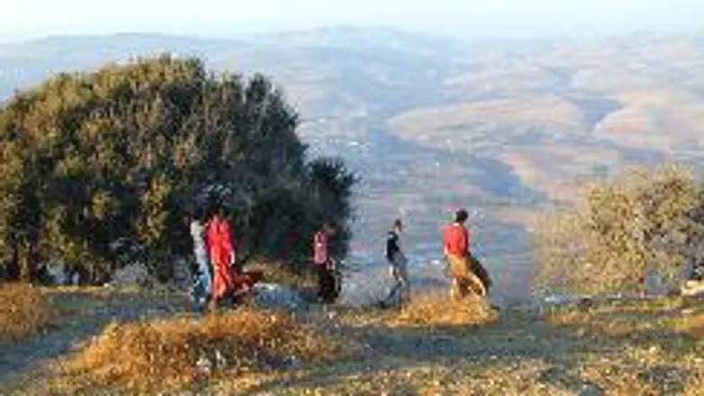 Youth in Samaria (illustrative)