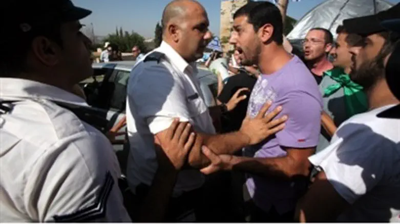 Protester vs. police