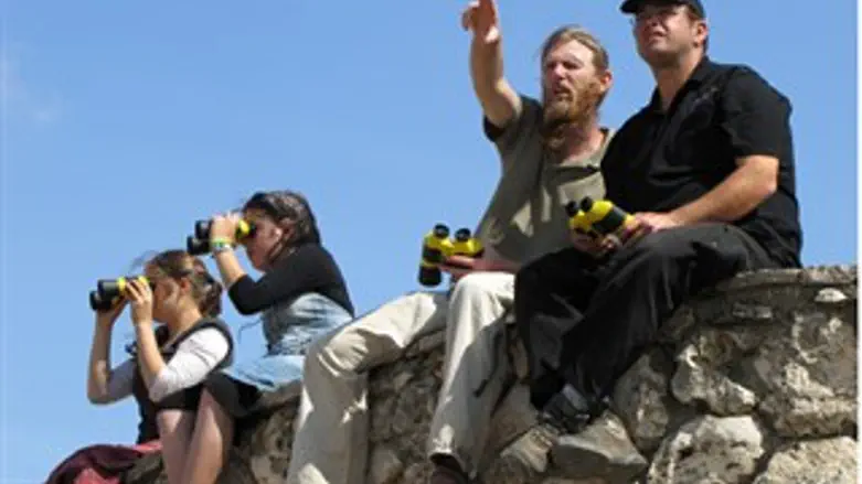 מתוך פיילוט "משקפת"