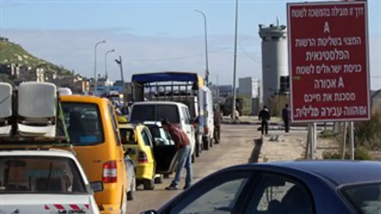 תנועה חופשית