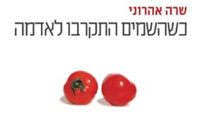 כריכת הספר