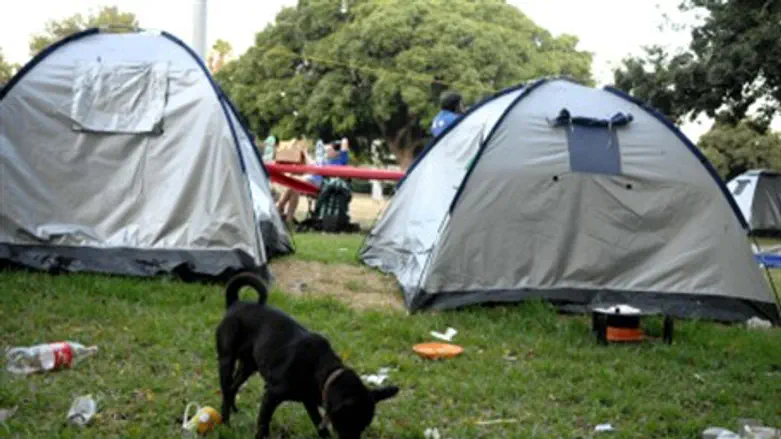 Social justice tent protest