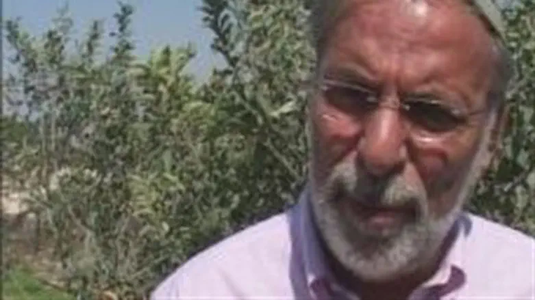 Dov Hikind