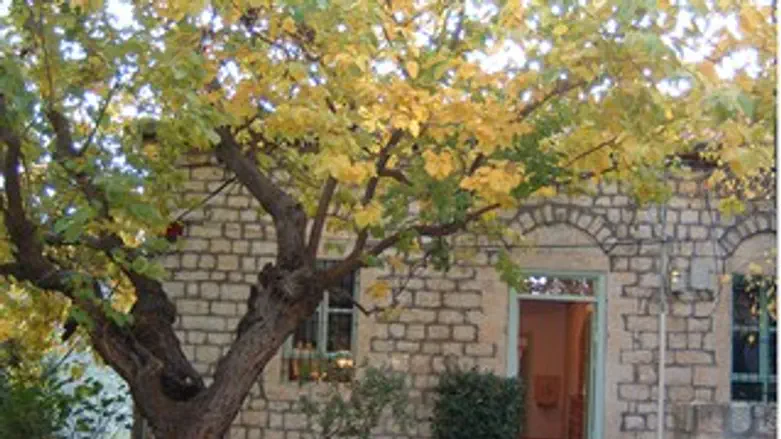 בית בגליל- טיולי סתיו