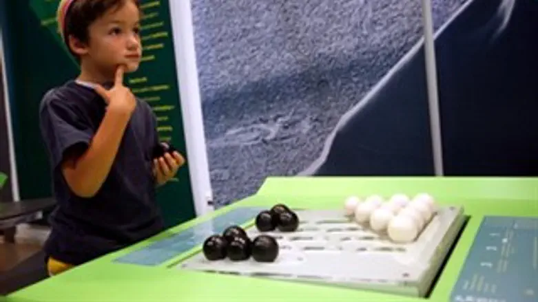 שומרים על תפקוד המוח