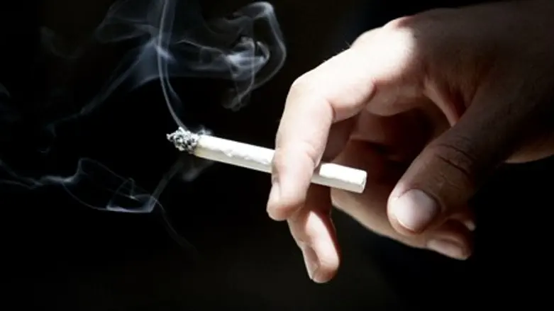 החקלאי הממוצע מעשן מעל 50 סיגריות