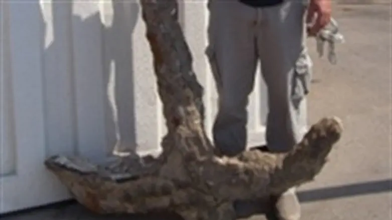 העוגן העתיק