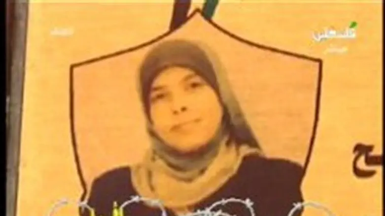 כבוד למחבלת