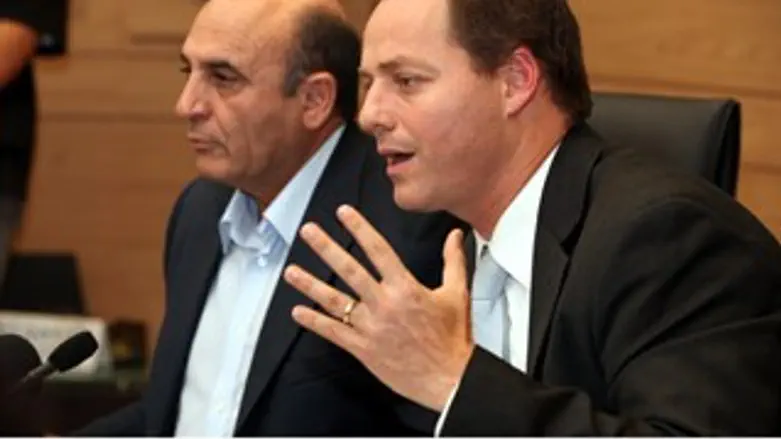 כשל מערכתי. פלסנר בועדת חוץ וביטחון