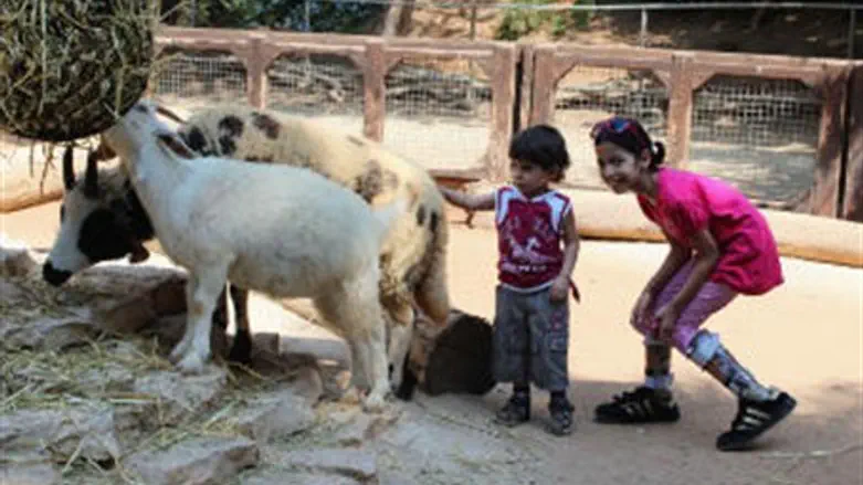 At Safari Zoo near Tel Aviv
