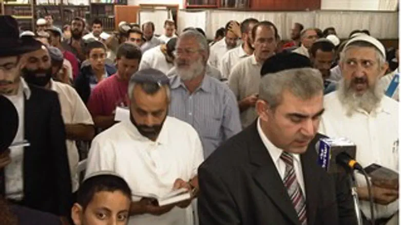 תומכים במגרון