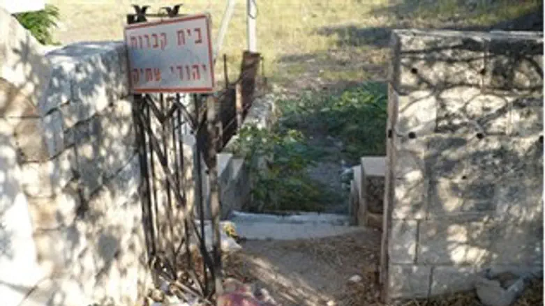 ביזיון לאומי ביאסיף