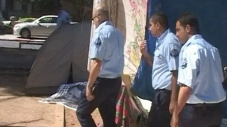 פקחים. אילוסטרציה