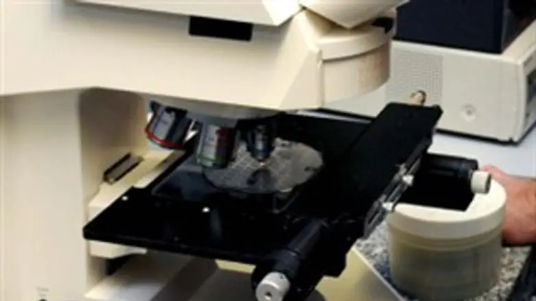 אילוסטרציה