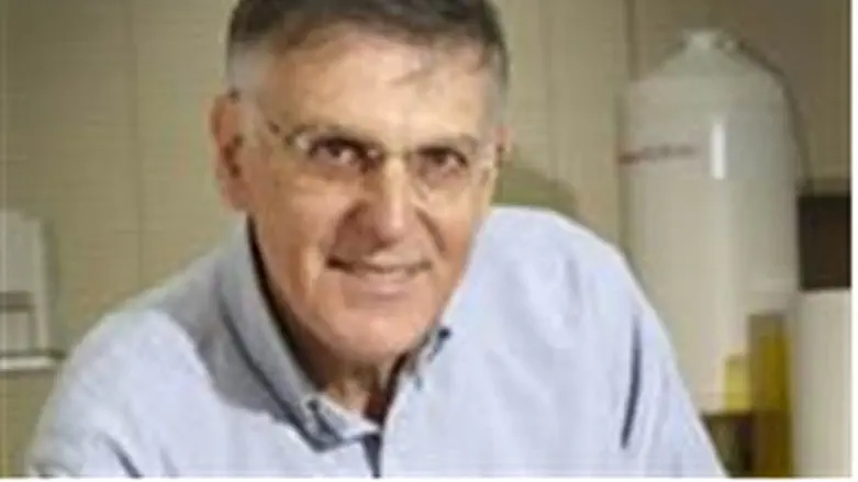 Professor Daniel Schechtman