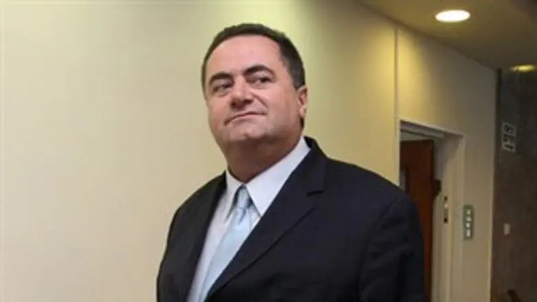 השר ישראל כץ