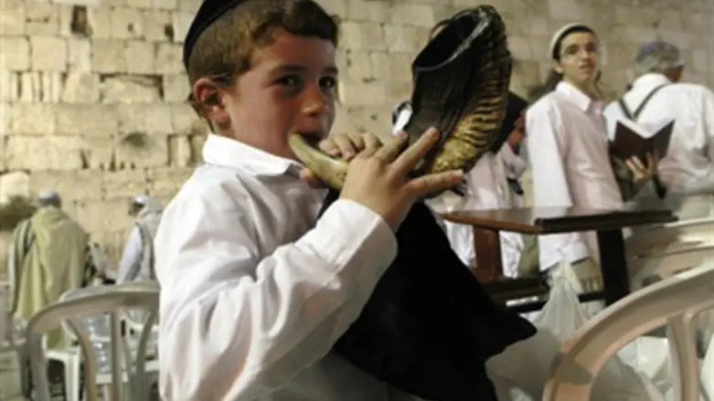 Pint-sized shofar blower at the Kotel.