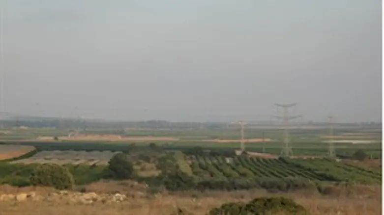 ישראל פורחת