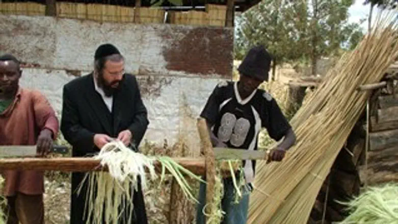 משגיחים באפריקה
