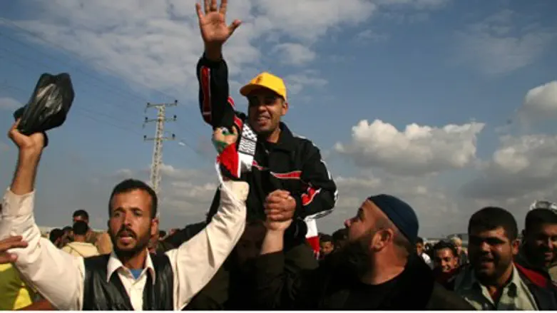 Террористы