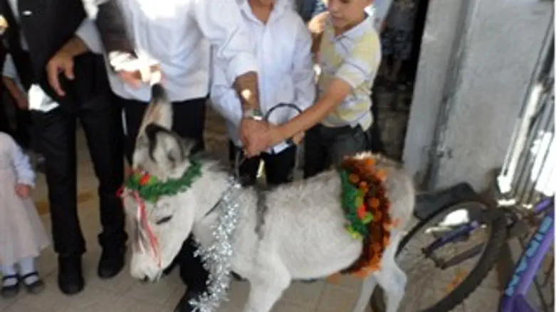 הפדיון. היום