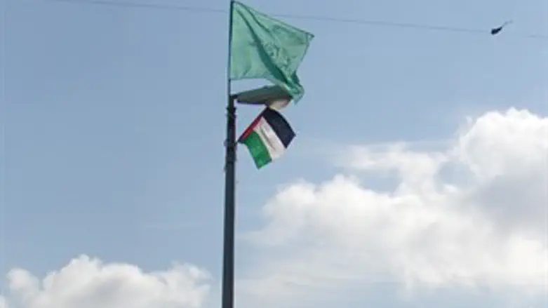 דגלי חמאס ואש"ף