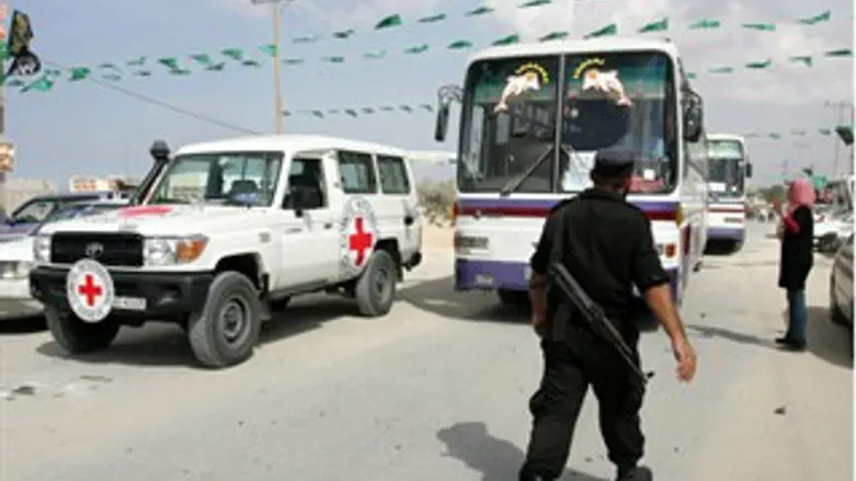 האוטובוסים של המחבלים