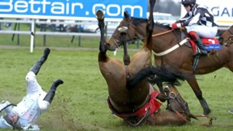 סוס מת? נפילה של סוס במהלך מירוץ