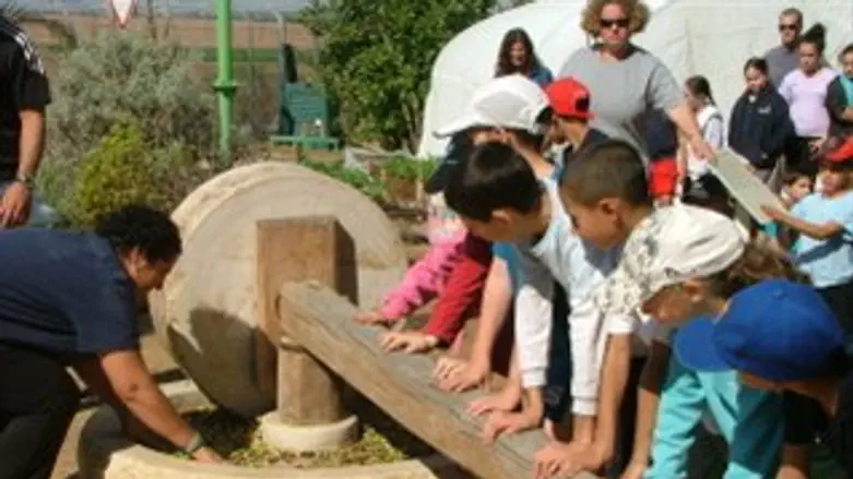 ילדי ניצני אשכול