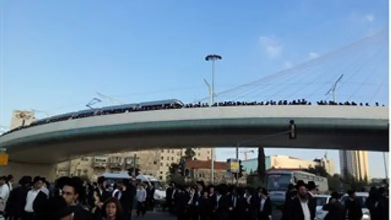 סקרנים על גשר המיתרים