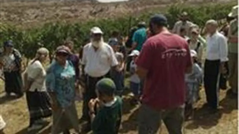 הנתנייתים בשומרון