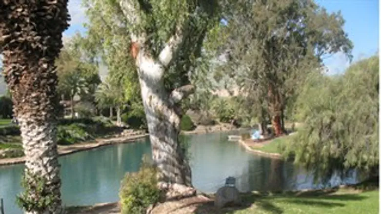 תיירות ניר דוד