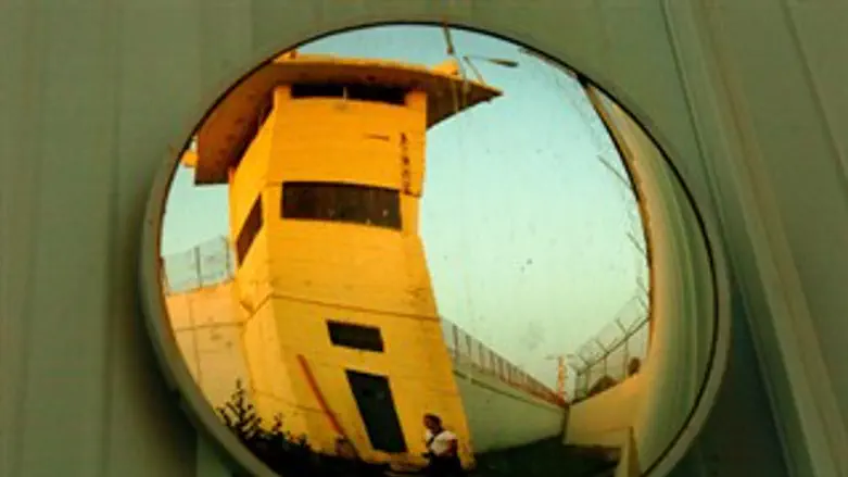 לא יוצאים. ארכיון