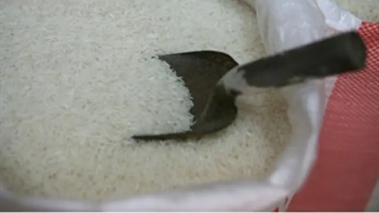 תולעים באורז? אילוסטרציה