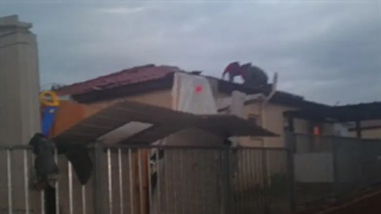 תמונה מניצן