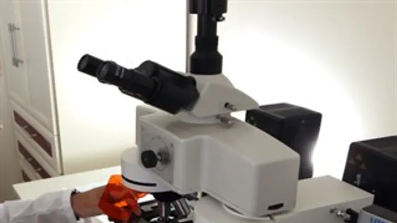 אילוסטרציה