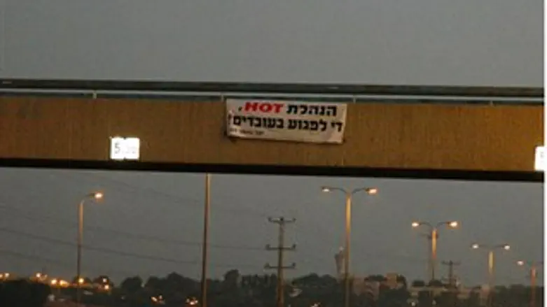 השלטים שנתלו